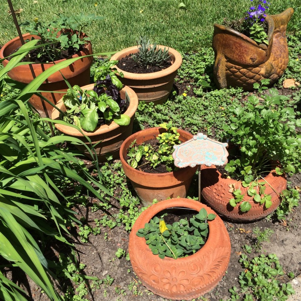 Pam's Herb Garden