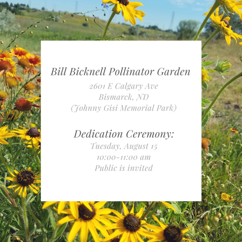 pollinator-garden
