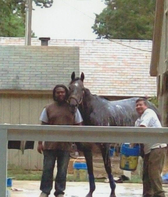 A Saratoga Way of Life: In the Backstretch