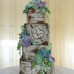 birch succulent cake