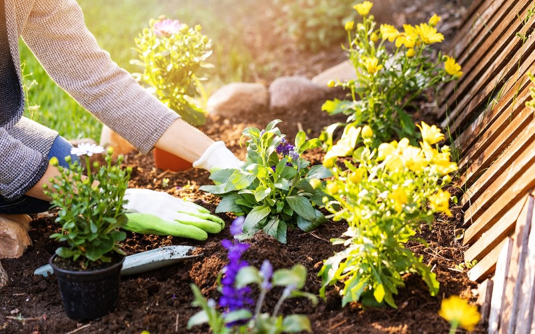 What Does Your Garden Look Like?