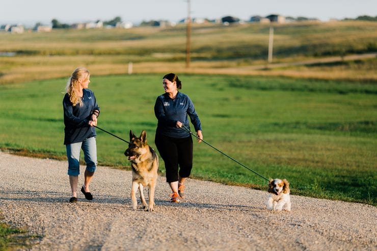 Comrades, Country, & Canines